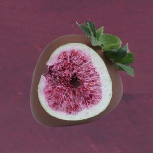 621498160 18062805152642839 6164827474242024378 n