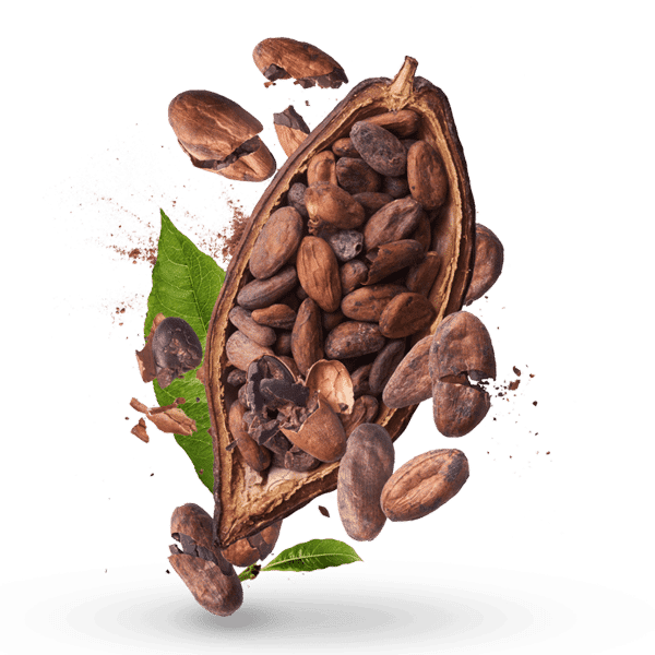 chocolate chocolate