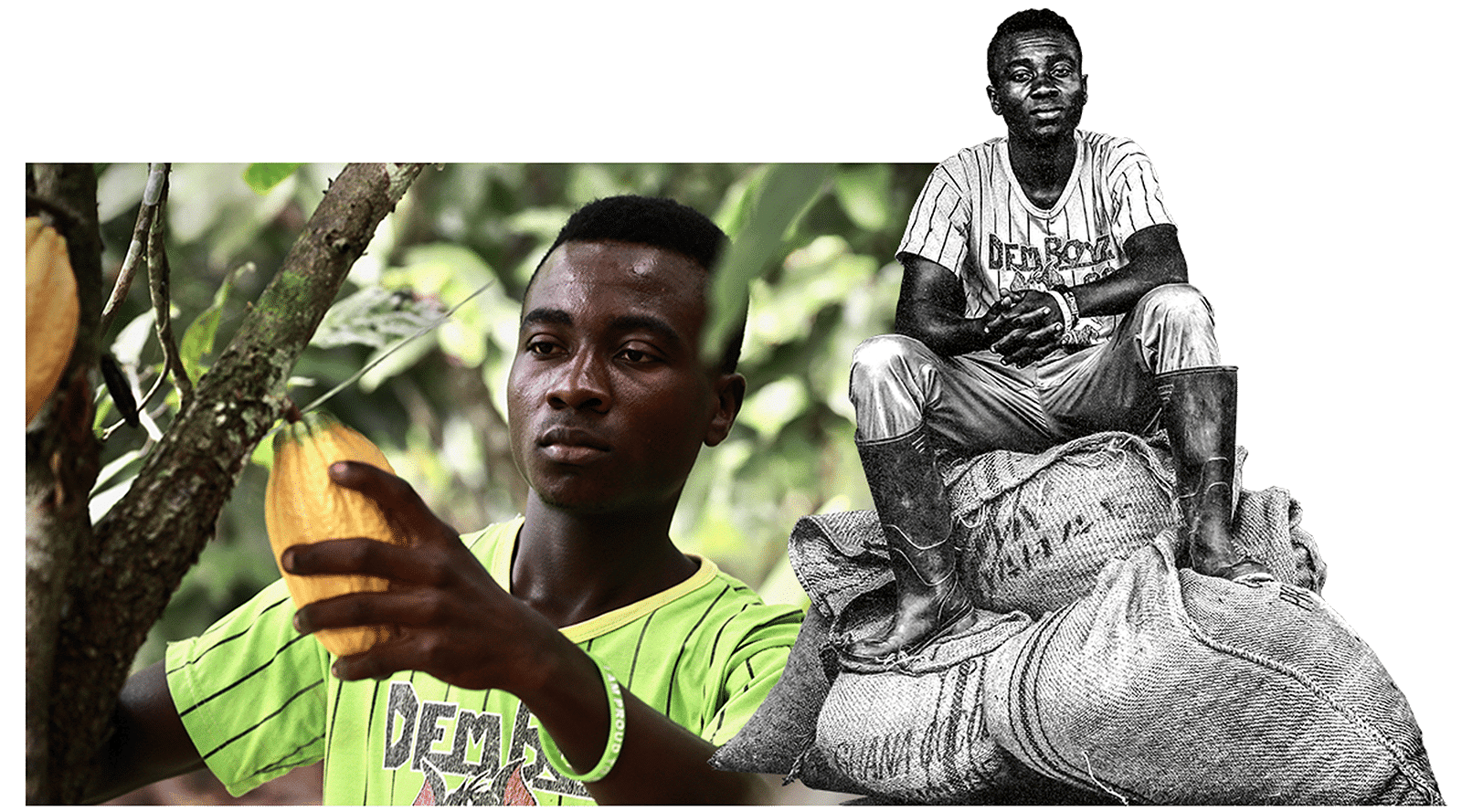 elijah_callebaut elijah_callebaut