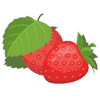 Erdbeeren von SecretBerry