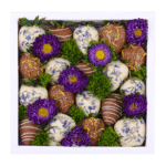 SecretBerry THE PROVENCE - Big Box