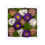 SecretBerry THE PROVENCE - Mini Box