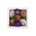 SecretBerry THE PROVENCE - Nano Box