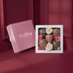 SecretBerry The Classic NanoBox