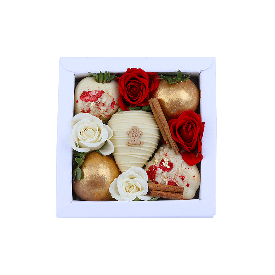 SecretBerry THE SANTA CLAUS - Nano Box