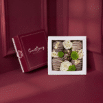 SecretBerry The Hyaluron Nano Box - Schoko-Erdbeeren